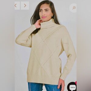 Frank Lyman Turtleneck Sweater